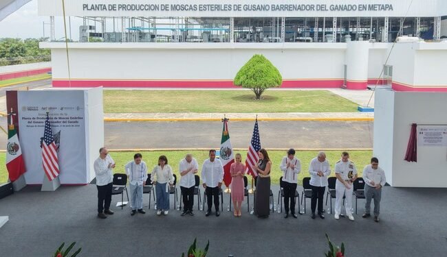 Así funcionará la planta que México y EU construyeron para combatir el gusano barrenador