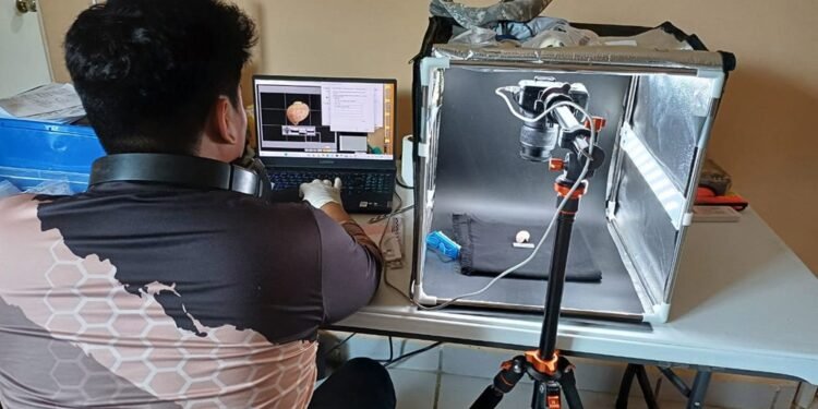 INAH consolida seis laboratorios para estudiar hallazgos del Tren Maya