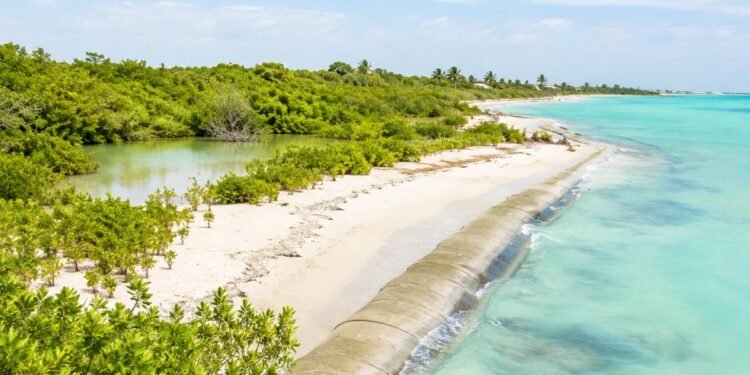 Otra vez Mahahual: denuncian daño ambiental por desarrollo inmobiliario Lahun Tiku