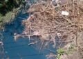 Lluvias destapan “remedio” ambiental del Gobierno de Nuevo León