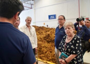 La batalla contra el sargazo entra a una nueva etapa; así es como buscan aprovecharlo