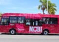 ¿Listo para la nueva movilidad? Los autobuses Taruk ya están aquí: así funcionarán