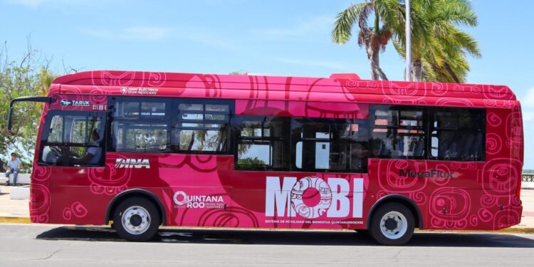 ¿Listo para la nueva movilidad? Los autobuses Taruk ya están aquí: así funcionarán