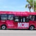 ¿Listo para la nueva movilidad? Los autobuses Taruk ya están aquí: así funcionarán