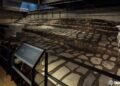 ¿Vas la CDMX? INAH abre espacios exclusivos del Templo Mayor solo por unos días