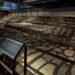 ¿Vas la CDMX? INAH abre espacios exclusivos del Templo Mayor solo por unos días