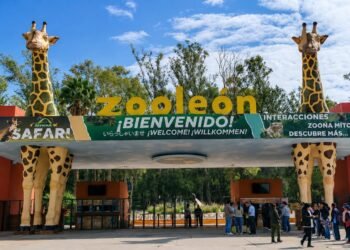 El gusano barrenador ya alcanzó un zoológico en México: esto es lo que debes saber