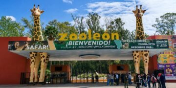 El gusano barrenador ya alcanzó un zoológico en México: esto es lo que debes saber