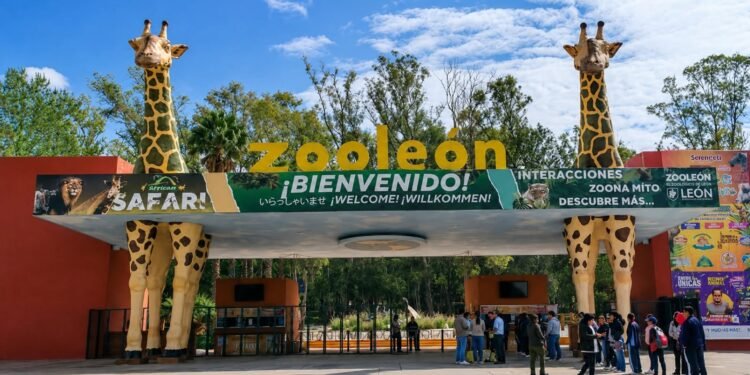 El gusano barrenador ya alcanzó un zoológico en México: esto es lo que debes saber