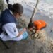 Patrullaje de rutina termina con rescate inesperado; ponen a salvo 39 huevos de tortuga marina