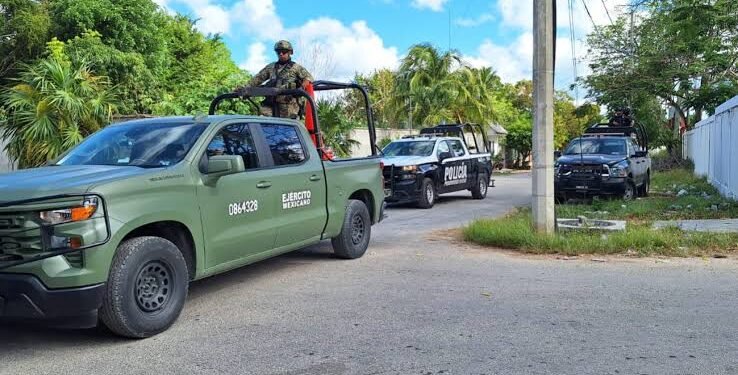 Sedena asegura camionetas blindadas con droga en Bacalar; refuerzan golpe al crimen organizado