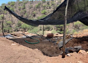 ¿Por qué cerraron dos minas de oro en Sonora? No tenían autorización de impacto ambiental