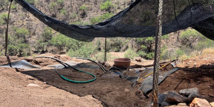 ¿Por qué cerraron dos minas de oro en Sonora? No tenían autorización de impacto ambiental