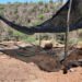 ¿Por qué cerraron dos minas de oro en Sonora? No tenían autorización de impacto ambiental