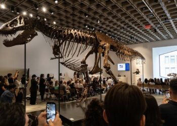¿Pagarías 50 millones de dólares por un dinosaurio? “Gus” rompió todos los récords
