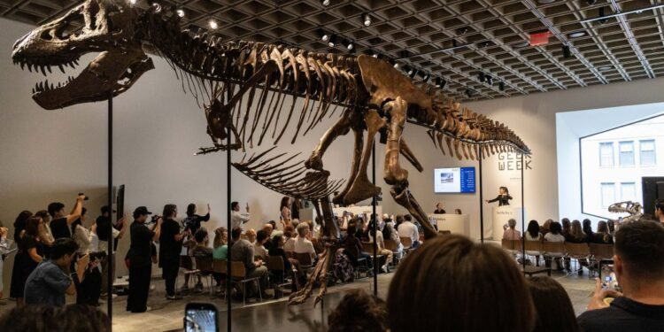 ¿Pagarías 50 millones de dólares por un dinosaurio? “Gus” rompió todos los récords