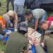 ¡Final al operativo! Rescatan al tigre de bengala que escapó y movilizó tierra y aire en Edomex