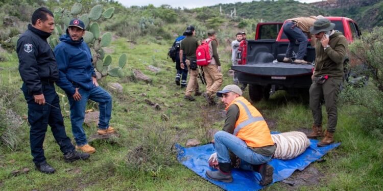Captura de Kenzo termina en indignación; reportan que el tigre murió tras ser sedado y presuntamente baleado en Edomex