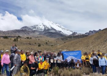 ¿Cómo buscan recuperar los bosques de Puebla? Profepa y comunidades plantan 500 árboles