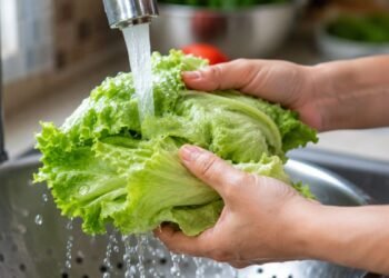 Taylor Farms responde tras falso positivo en lechuga mexicana; retiro por brote de “diarrea explosiva” continúa