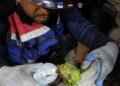 Video capta el emotivo rescate de Panchito, el loro que sobrevivió entre los escombros en Venezuela