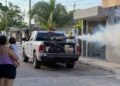 ¡Atención, Chetumal! Intensifican la nebulización contra el dengue; estas colonias serán atendidas