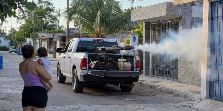 ¡Atención, Chetumal! Intensifican la nebulización contra el dengue; estas colonias serán atendidas