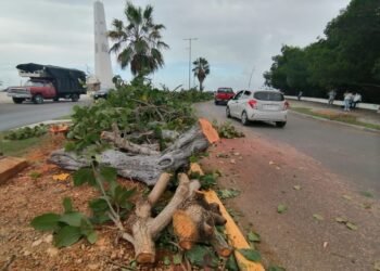 ¿Modernización o peligro? Crecen las quejas por accidentes en obras públicas de Chetumal