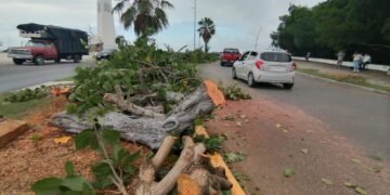 ¿Modernización o peligro? Crecen las quejas por accidentes en obras públicas de Chetumal