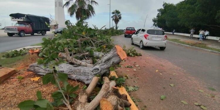 ¿Modernización o peligro? Crecen las quejas por accidentes en obras públicas de Chetumal
