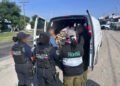 Rescatan aves amenazadas y aseguran orquídeas durante operativo en carreteras de Puebla