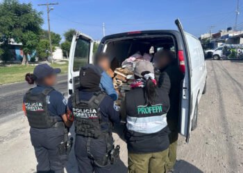 Rescatan aves amenazadas y aseguran orquídeas durante operativo en carreteras de Puebla