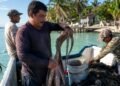 ¡Comienza la temporada! Quintana Roo abre la pesca de pulpo desde este 1 de agosto