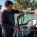 ¡Comienza la temporada! Quintana Roo abre la pesca de pulpo desde este 1 de agosto