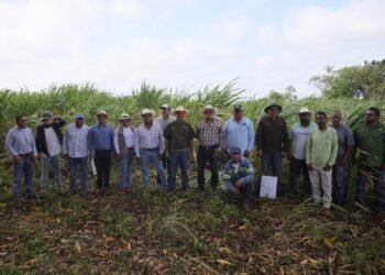 Dan respiro al campo en Quintana Roo; destinan 6 millones de pesos para fortalecer al sector cañero