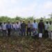 Dan respiro al campo en Quintana Roo; destinan 6 millones de pesos para fortalecer al sector cañero