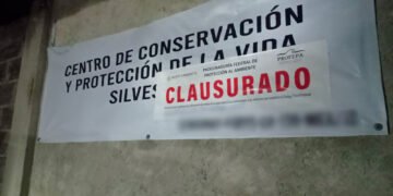 Tras confirmación de muerte de Kenzo, Profepa clausura Animal Experience y asegura nueve animales