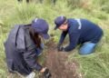 Reforestan la Sierra de Guadalupe con 250 árboles; industria del plástico refuerza su agenda ambiental
