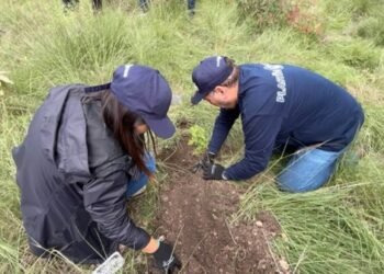 Reforestan la Sierra de Guadalupe con 250 árboles; industria del plástico refuerza su agenda ambiental
