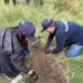 Reforestan la Sierra de Guadalupe con 250 árboles; industria del plástico refuerza su agenda ambiental