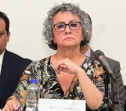 Crecen versiones de presiones en millonaria licitación de vehículos del Gobierno federal