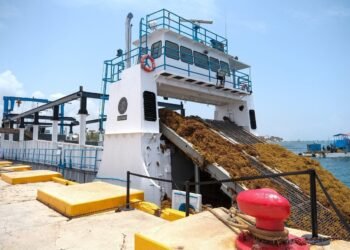 México va con todo contra el sargazo; anuncian inversión histórica de más de 2 mil millones para proteger el Caribe mexicano