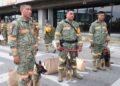 La nueva heroína tiene cuatro patas: Venezuela dona una cachorra al Ejército Mexicano