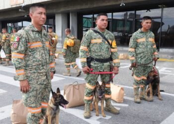 La nueva heroína tiene cuatro patas: Venezuela dona una cachorra al Ejército Mexicano