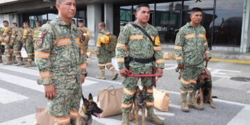 La nueva heroína tiene cuatro patas: Venezuela dona una cachorra al Ejército Mexicano