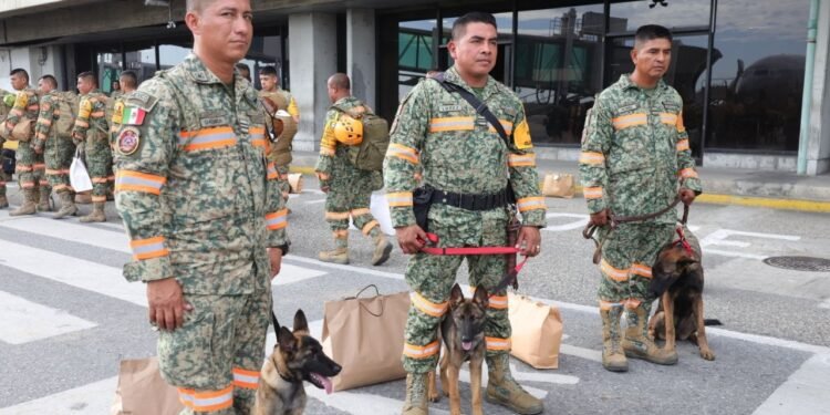 La nueva heroína tiene cuatro patas: Venezuela dona una cachorra al Ejército Mexicano