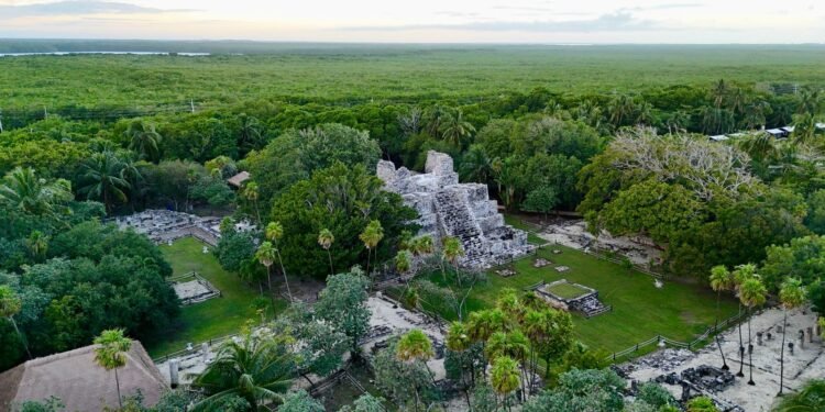 ¿Ya visitaste El Meco? Ahora ofrece una experiencia completamente renovada