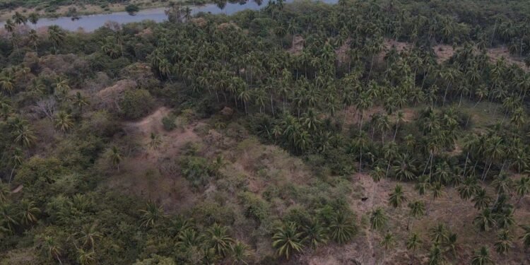 ¿Qué pasó con los pueblos que resistieron la conquista? Encuentran nuevas pistas en Guerrero