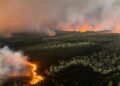 Europa combate un verano histórico de incendios; la emergencia se agrava