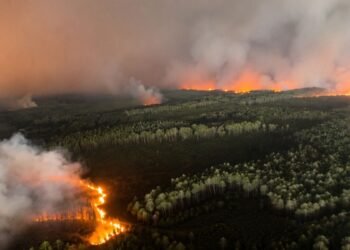 Europa combate un verano histórico de incendios; la emergencia se agrava